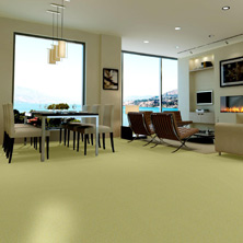 PVC FLOORING-BAIDI